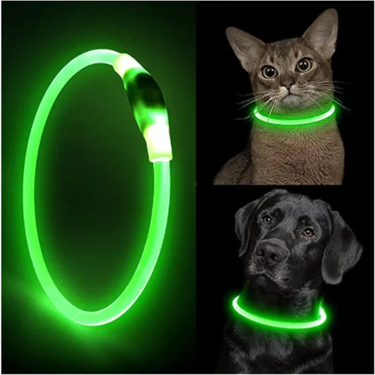Coleira de cachorro com luz led, destacável, brilhante, carregamento usb, trela luminosa para cães de estimação, produtos, carga usb, acessórios luminosos para animais de estimação