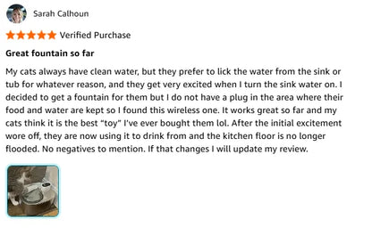 Wireless Cat Water Fountain Stainless Steel 135floz/4L Battery Operated Automatic Cordless Cat Water Dispenser Pet Fountain