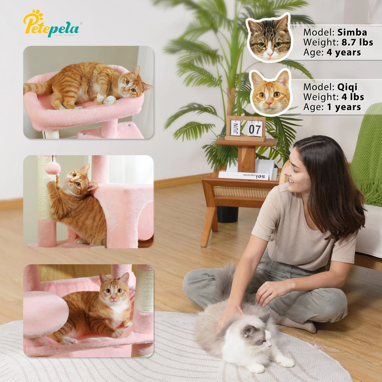 Árvore de gato para gatos internos, torre de gato de 5 níveis para gatos grandes com estrutura de metal grande rede condomínio de gato com poleiro superior grande