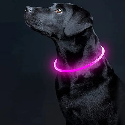 Led Light Dog Collar Detachable Glowing Usb Charging Luminous Leash For Pet Dogs Products Usb Charge Luminous Pet Accessories