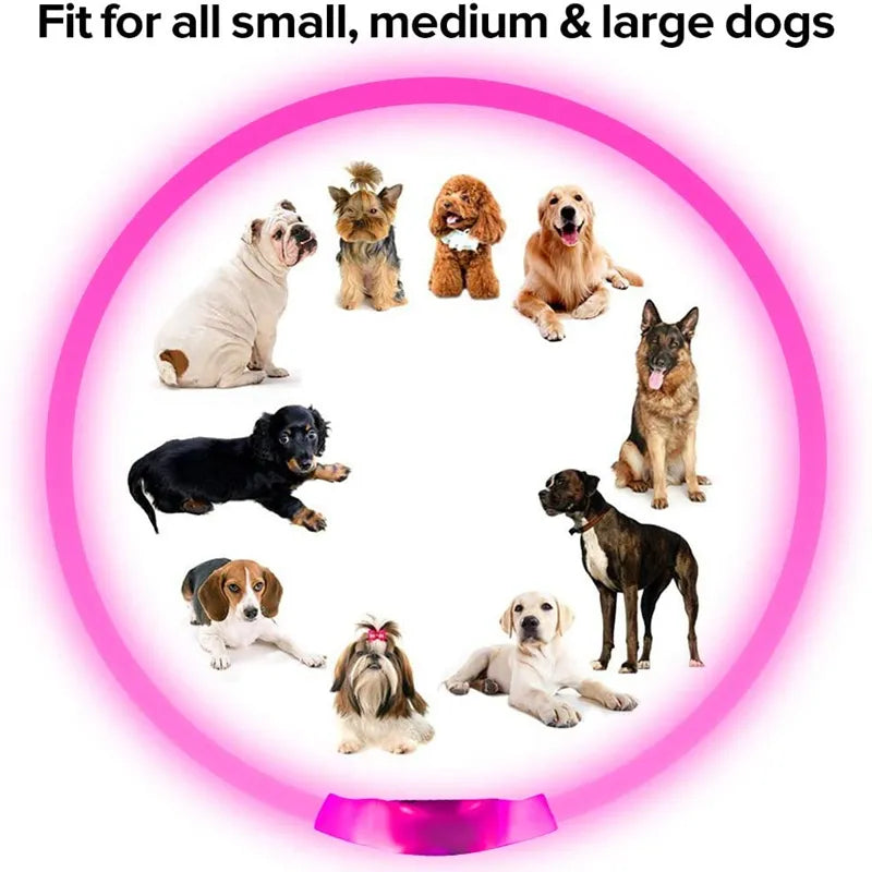 Led Light Dog Collar Detachable Glowing Usb Charging Luminous Leash For Pet Dogs Products Usb Charge Luminous Pet Accessories