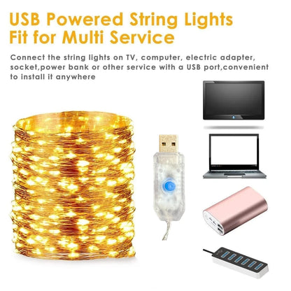 Usb led string luz 5m/10m/20m/30m 8 modo luzes de controle remoto guirlandas de fadas casamento natal decoração do feriado lâmpadas ano novo