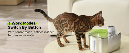 Wireless Cat Water Fountain Stainless Steel 135floz/4L Battery Operated Automatic Cordless Cat Water Dispenser Pet Fountain